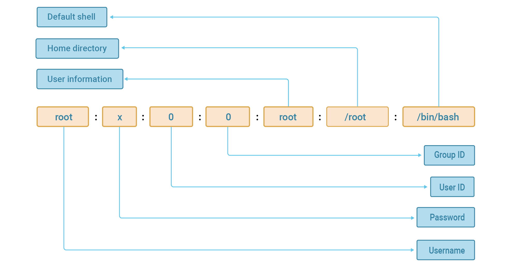 Scheme of records in /ect/passwd of the user root