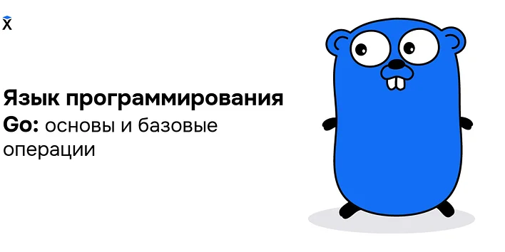 Язык программирования Go: почему все его любят и что на нем можно писать