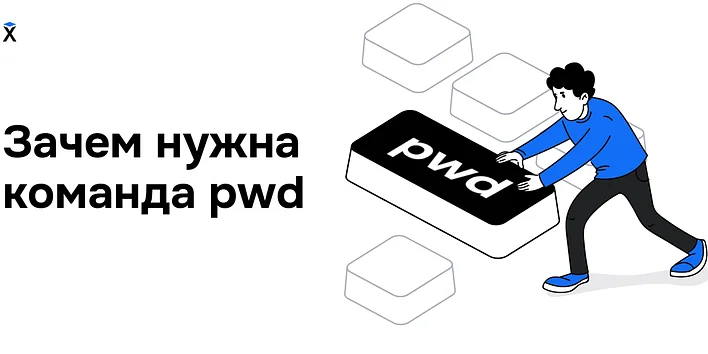 Зачем нужна команда pwd и что такое текущая рабочая директория