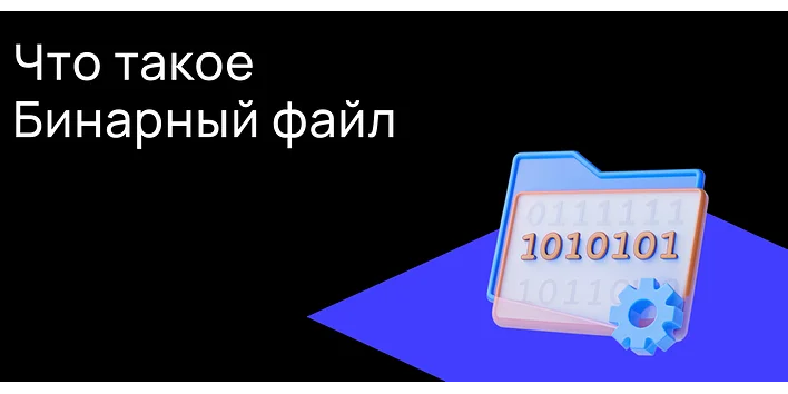 Что такое бинарный файл?