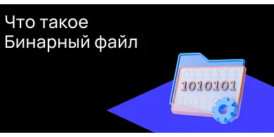 Что такое бинарный файл?