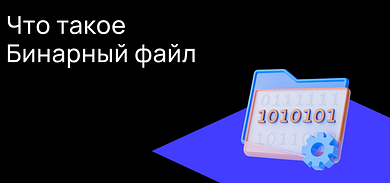 Что такое бинарный файл?