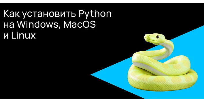 Как установить Python на Windows, macOS и Linux