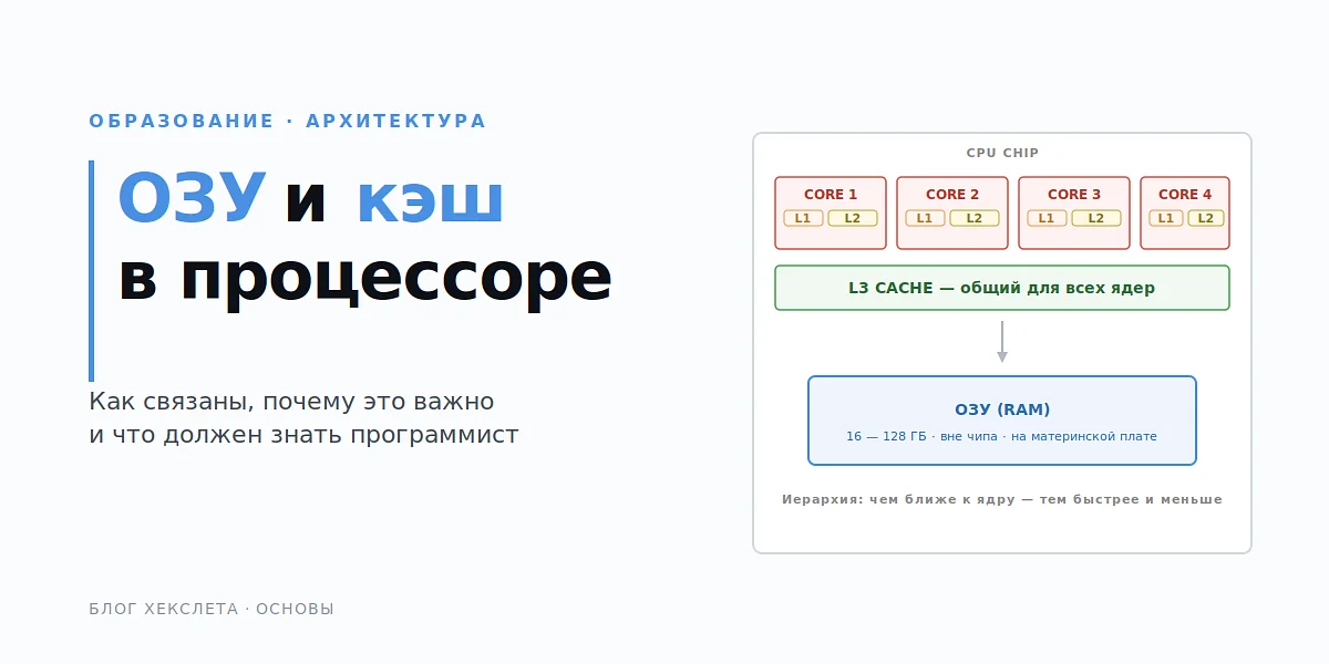 Оперативная память и кэш: как они связаны и почему это важно знать программисту