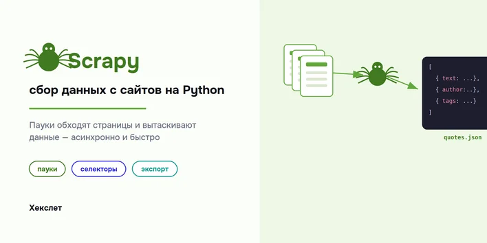 Scrapy: сбор данных с сайтов на Python — от паука до экспорта