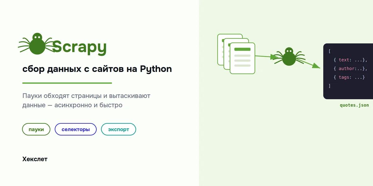 Scrapy: сбор данных с сайтов на Python — от паука до экспорта