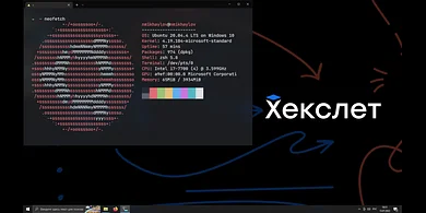Как работать с Linux используя Windows