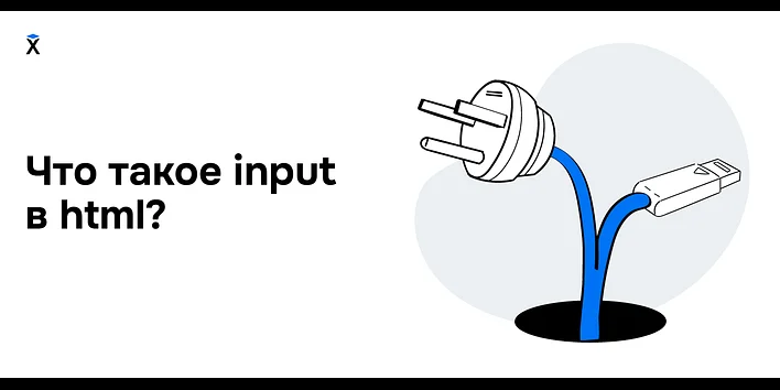 Что такое input в html?